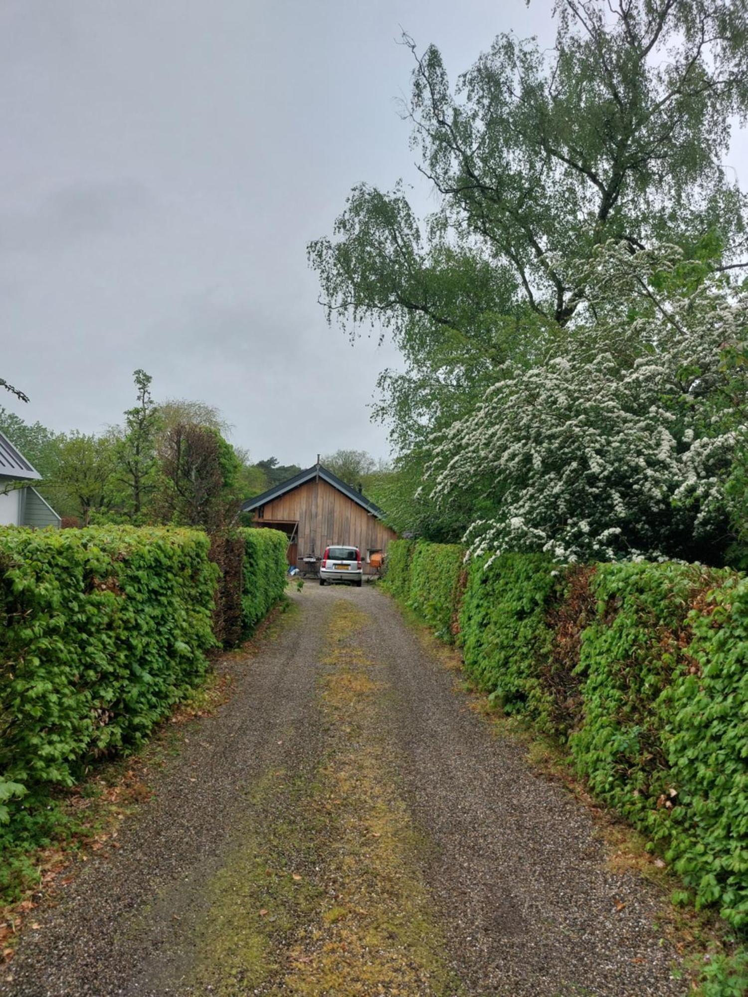 De Barre Hichte Bed and Breakfast Nijeberkoop Eksteriør billede